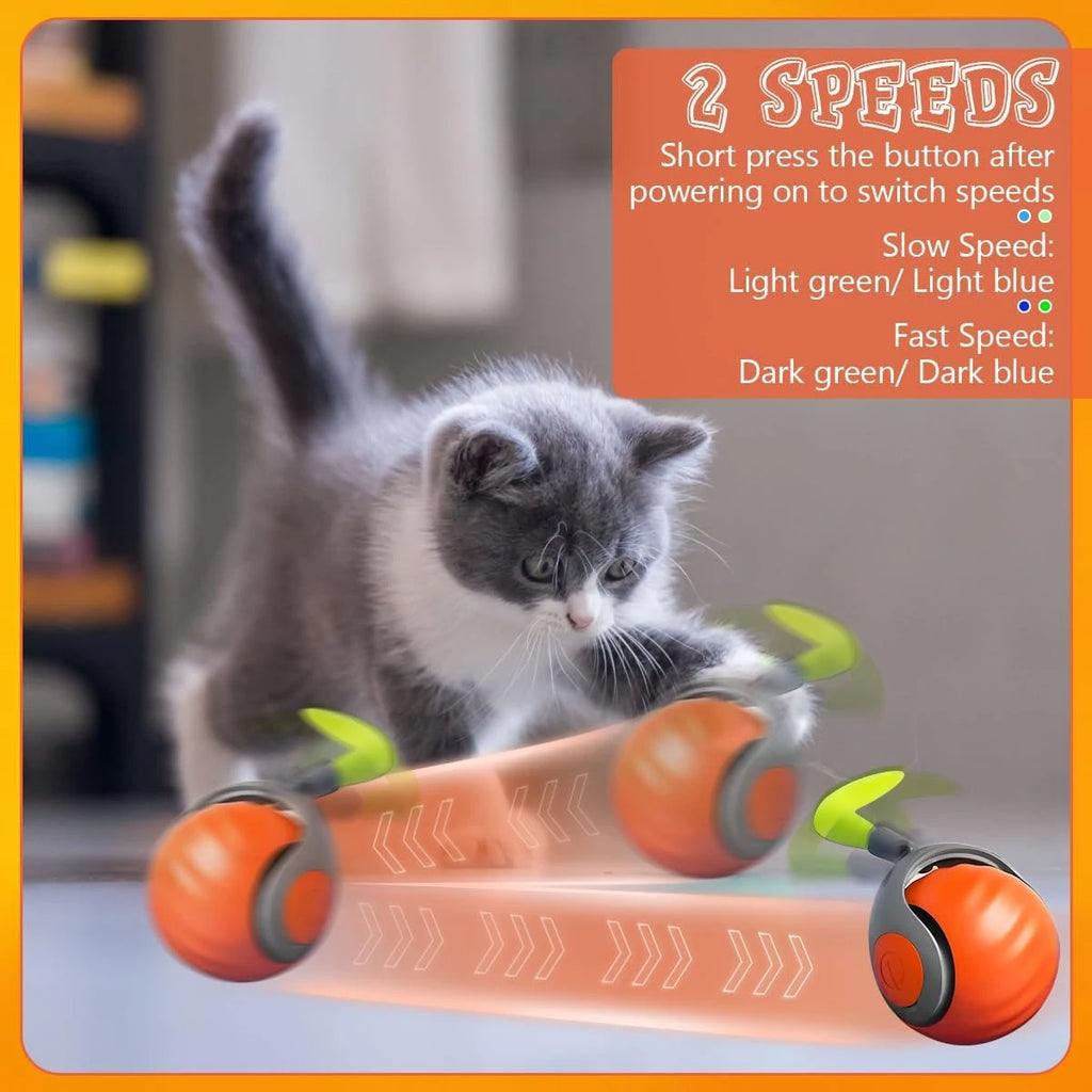 Smart Speedy Tail 2.0 – Interactive Cat & Dog Toy with Auto Rolling Ball & Adjustable Speed