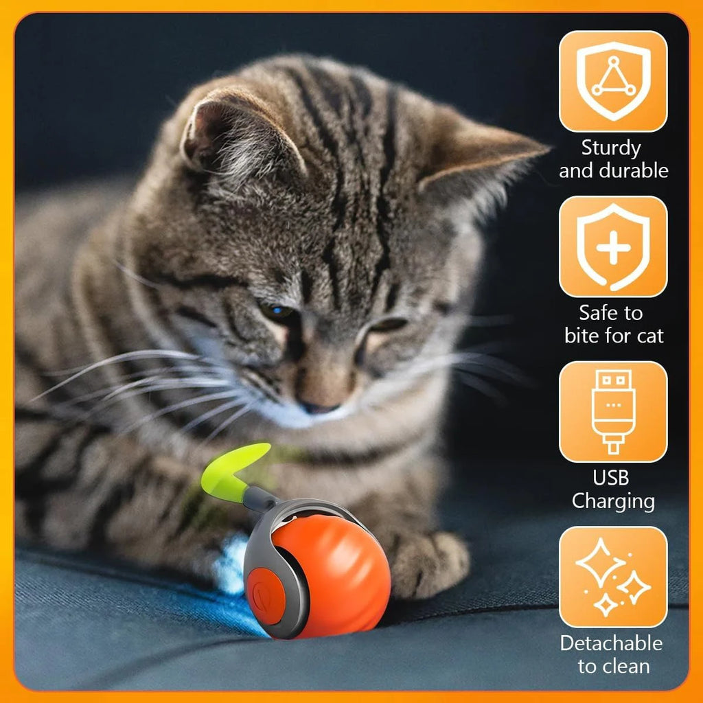 Smart Speedy Tail 2.0 – Interactive Cat & Dog Toy with Auto Rolling Ball & Adjustable Speed